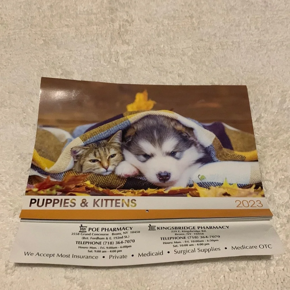 Puppies & Kittens 2023 Calendar